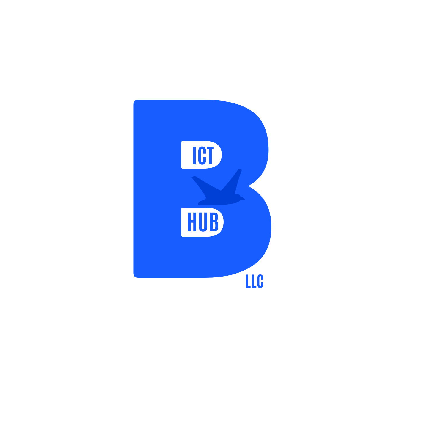 BICTHUB