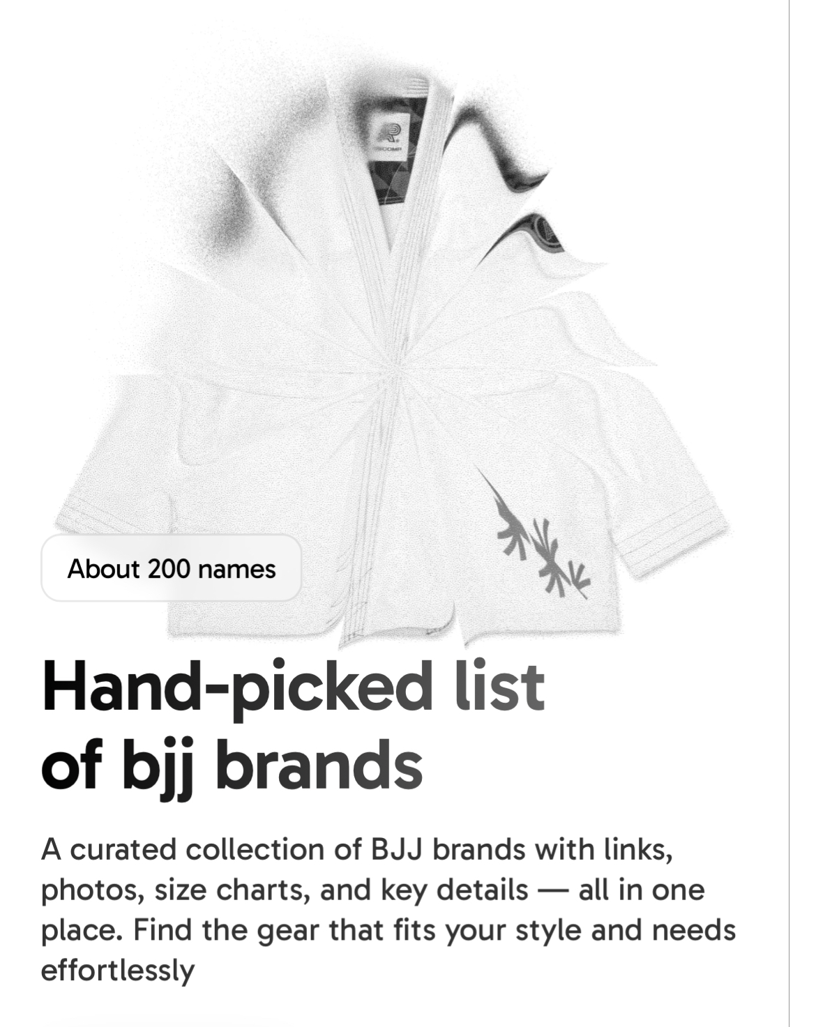 bjj✴︎brands - Image 1